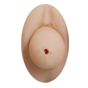 Abnehmbare Vagina