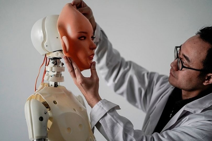 Sex mit einem Roboter haben