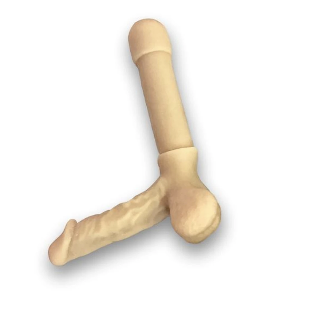 Penis