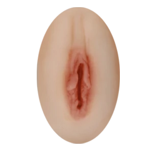 feste Vagina